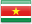 Flag of SUR