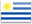 Flag of URU