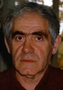 Mark D Tseitlin (1996)