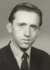 Constantin Bozdoghina